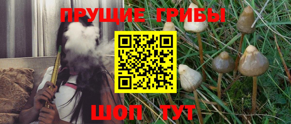 Псилоцибиновые грибы мицелий  Вход с VPN  Краснокаменск 