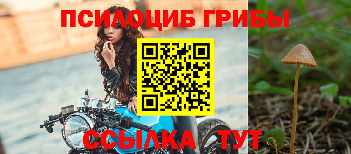 Псилоцибиновые грибы мухоморы Краснокаменск
